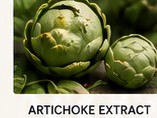 Fresh artichokes