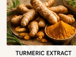 Fresh turmeric root and powder